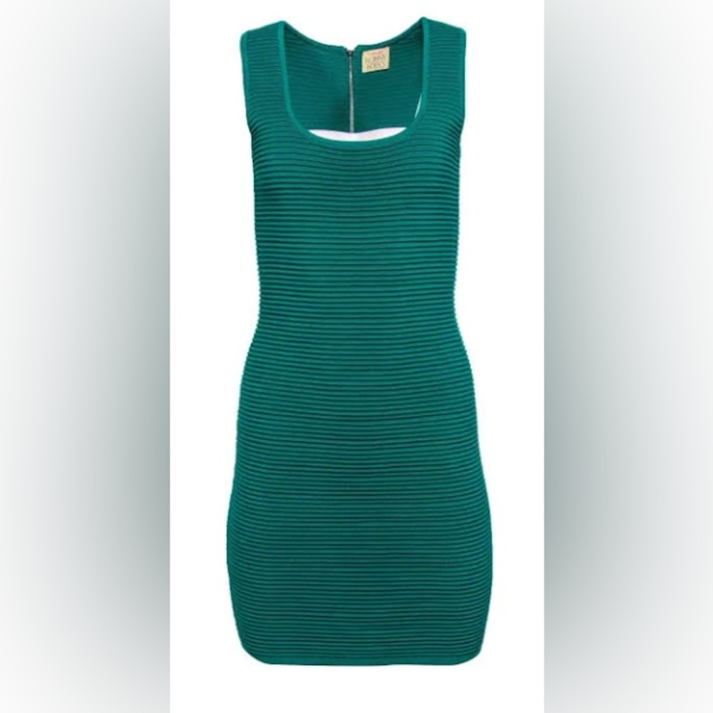 Torn By Ronny Kobo Jade Green Ribbed Sleeveless Bodycon Dress